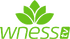 WNESSTV
